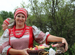 В Камышинском районе праздника на Ромашковой поляне в этом июле не будет, но...