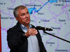 Спикер Госдумы в Саратове высказался о врачах-миллионерах
