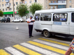 Полиции надо чаще контролировать опасный поворот с улицы Ленина на Театральную и пешеходный переход там же, - камышанка