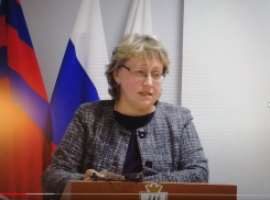 На время прохождения военной службы в зоне СВО Сергеем Анихреевым обязанности председателя ТИК Камышина возложены на Ларису Акбарову