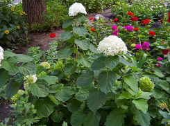 Появились некоторые подробности о двух новых смертельных жертвах COVID