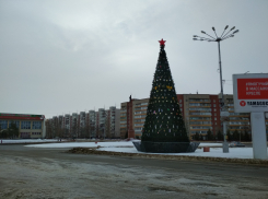 Опубликованное письмо читательницы «Блокнота Камышина» подвигло  рабочих благоустройства разобрать, наконец, «прокисшую» елку на Комсомольской площади