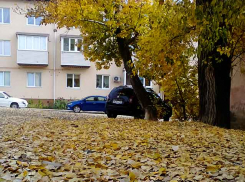 Администрация Камышина отчиталась, что тепло подано полностью во весь жилой фонд, а редкие случаи холодных квартир зависят от разворотливости управляющих компаний