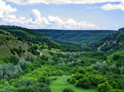 Природный парк «Щербаковский» закроют от камышан «на замок»?