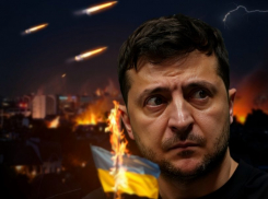 «Почему мы не убиваем Зеленского?»: военкор Коц рассказал, зачем главе киевского режима сохраняют жизнь, - «Блокнот - Россия»