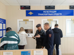 «Осторожно: мошенники!» - в ОГИБДД камышан учили бдительности
