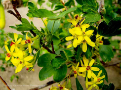 Камышан ждут теплые, солнечные и ветреные выходные