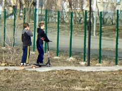 Камышинский сайт «Инфокам» продвигает идею «досрочного» начала месячника по благоустройству в замусоренном городе