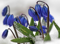 Солнце и +17: погода в Камышине 15 марта