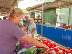 В Камышине помидоры подешевели до 50 рублей за килограмм, но...