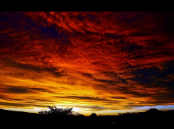 “Свободный белый парень уходит из жизни», - написал в предположительно предсмертном сообщении в Инстаграм молодой человек, упавший с 23 этажа