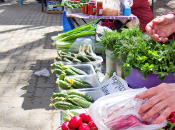 В «экспериментальных» заправках «холодного летнего супчика» признались жители Волгоградской области  в День окрошки
