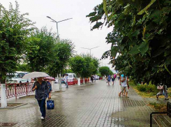 В Камышине в середине июля выпадает дождливый и прохладный день