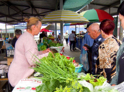 Три миллиона рублей положили в карман мошенникам жители Камышина и Камышинского района