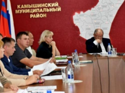 У главы Камышинского района Алексея Самсонова появился новый заместитель - экс-глава города Петров Вал Елена Береговая