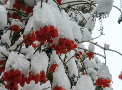 Андрей Бочаров отдал распоряжение главам муниципальных образований быть готовым к сложным погодным условиям