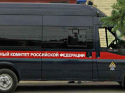 В соседнем с Камышинским - Дубовском районе сельчанка кочергой отправила на тот свет молодого возлюбленного 