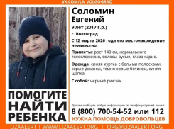 Волонтеры подключились к поискам пропавшего ребенка в Волгограде  