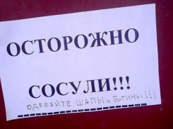 В Камышине с юмором отнеслись к особому случаю из практики «великого и могучего»