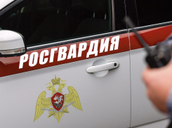В Камышине росгвардейцы поумерили пыл 24-летнего покупателя с 5-тысячной купюрой «банка приколов»
