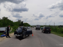 ГУ МВД озвучило официальную информацию о столкновении в Камышинском районе, унесшем две жизни и покалечившем трех человек