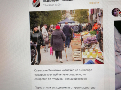 Почему в Камышине соцсети постоянно перепечатывают сюжеты из «Блокнота» и делают вид, что это их собственные новости? - камышанка