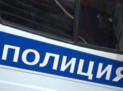 Большегруз ударил сзади микроавтобус камышинского владельца, осуществляющего рейс в Волгоград