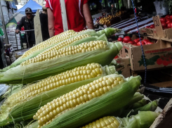 На камышинских рынках стали продавать свежую кукурузу