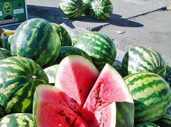 В Камышине на финише сентября арбузы прекратили дешеветь и продаются по 25 рублей за килограмм