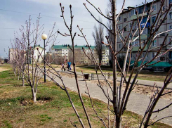 Коммунальщики Камышина 20 апреля вновь отключат электричество в разных частях города