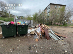 Активисты «Общероссийского народного фронта», похоже, решили провести мастер-класс для чиновников Камышина по руководству городом