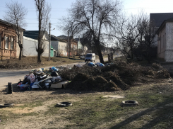 Почему за пару дней на улице Лазарева в Камышине выросла гора мусора
