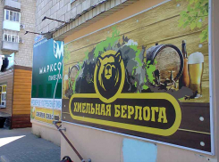 Надо бы поселить некоторых чиновников Камышина в «хмельной берлоге», - камышанка