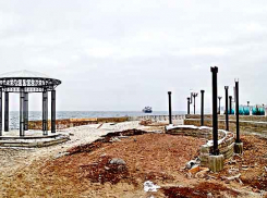 Власти Камышина дополнили Устав города статьей о собраниях горожан