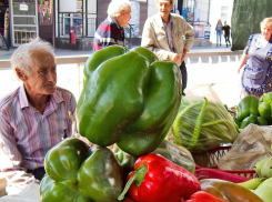 Какая пенсия будет у пенсионеров, если депутатам сделают зарплаты в 50 тысяч рублей?