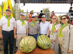 В Камышине вип-персоны Арбузного фестиваля пожелали сфотографироваться с самыми большими арбузами и прекрасными незнакомками