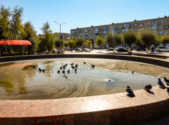 Хорошо бы в Камышине вымыть «болото» в главном фонтане после окончания сезона, а то лягушки заведутся, - камышанка