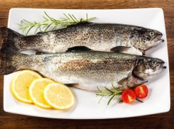 Приживется ли в Камышинском районе форелевый бизнес