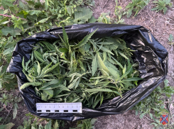 В Камышине по улице Зеленой прогуливались персоны с пакетом марихуаны