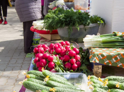 Стала известна цена кастрюли окрошки для камышан на первомайские праздники