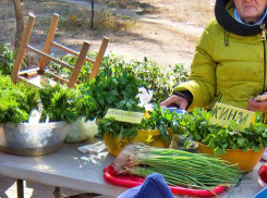 Уволить волгоградское руководство за снижение доходов населения области потребовал экс-депутат