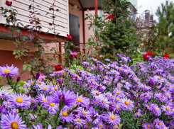 Дождевой фронт накрывает Камышин на два дня