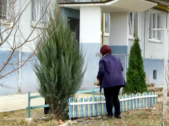 На сайте администрации Камышина сообщили, жителям каких домов надо приготовиться завтра, 17 марта, сидеть без света