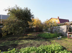 Целая семья жителей Терновки из Камышинского района с воспалением легких брошена без стационара на произвол судьбы