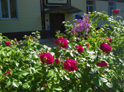 Кому в Камышине придется сидеть без света и воды сегодня, 30 мая