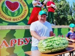 Камышинский бахчевод Алексей Степанов и его 50-килограммовый плод стали сенсацией Арбузного фестиваля
