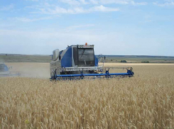 Стала известна дата проведения конкурса по отбору кандидатов на должность главы Камышинского муниципального района