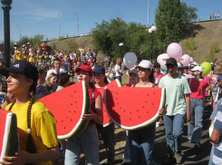 Администрация Камышина за 9 дней до Арбузного фестиваля напомнила программу праздника
