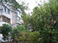 Камышане собрали в соцсетях фотоподтверждения буйства вчерашнего ветра