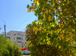 1 сентября в Камышине пройдет под дождем?